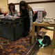 Illustration for article titled Busy? Stressed? Go take a load off at Miss Dinahs Cat Emporium